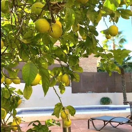 Holiday home Casa En Valencia, Cerca De Golf, Playas, Moto Gp Valencia