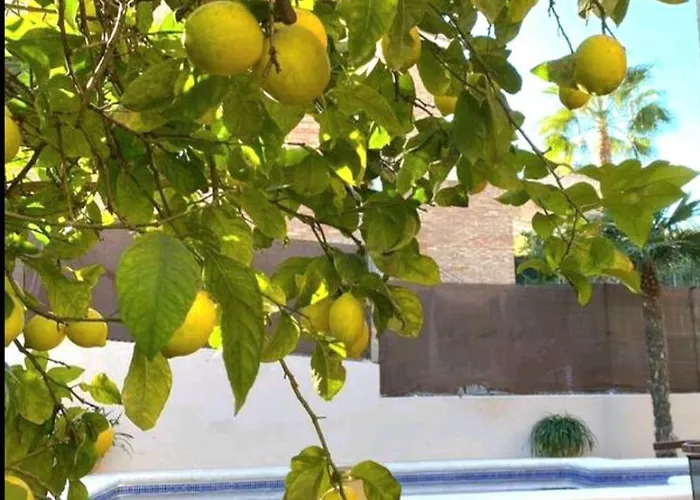 Semesterbostad Casa En Valencia, Piscina, Cerca De Golf, Playas, Moto Gp Valencia